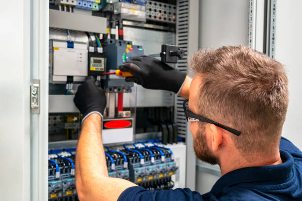 Best Electric Panel Repair  in Mountain Iron, MN